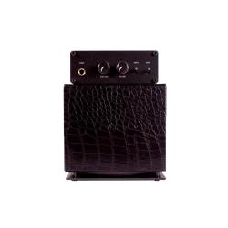 GSS 05GC100 Mini Baffle / Cabinet (Cab) Guitare 50W 1x5"