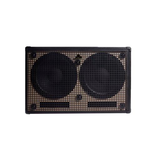 GSS Double12 Baffle / Cabinet (cab) guitare basse 2 x 12" 600W