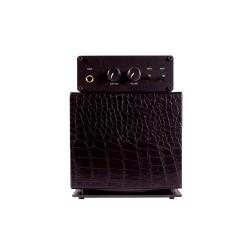 GSS 05G200 Mini Ampli Guitare