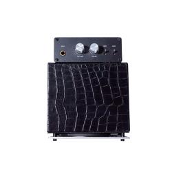 GSS 05G200SM Mini Ampli Guitare