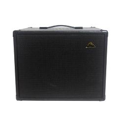GSS Acoustic Master electro-acoustic Guitar cabinet