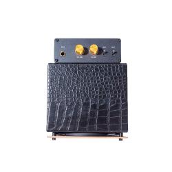 GSS 05G200SG Mini Ampli Guitare