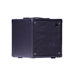 GSS Mighty10 compact and powerful 10" guitar cabinet