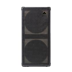 GSS Double10C Ampli Combo pour guitare basse 2x10" 250W