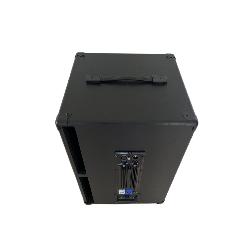 GSS baffle actif (enceinte amplifiée FRFR) 12+6 Plus pour guitare, basse et clavier
