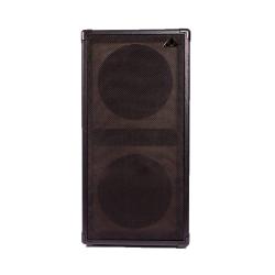 GSS Double8 Baffle / Cabinet (Cab) pour guitare basse 200W 2 x 8"