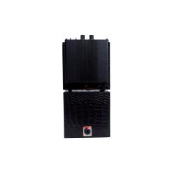 GSS 25G200 Mini Ampli Guitare (combo stack)