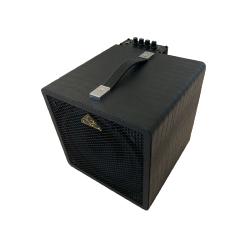 GSS 08GA70 Acoustic Dog electro-acoustic guitar combo