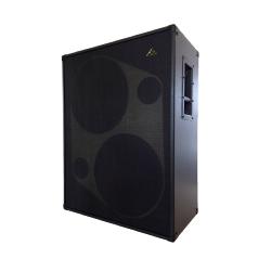 GSS Double 15  Baffle / cabinet (cab) pour basse et contrebasse