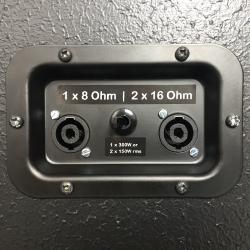 GSS Double Six 300W 2 x 6.5" bass guitar and upright bass Cabinet (cab)