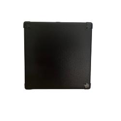 GSS Single10-500 baffle / cabinet (cab) 10" 500W pour basse et contrebasse