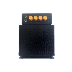 GSS 05G200SJC Jazz Cat Mini Ampli Guitare