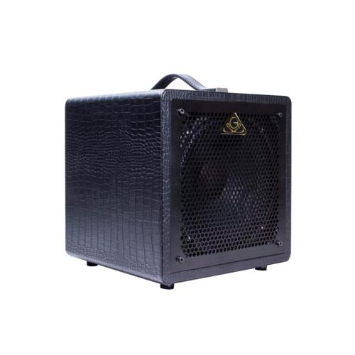 GSS 08GC200 Petit Baffle / Cabinet (cab) Guitare 1x8" 100 Watts